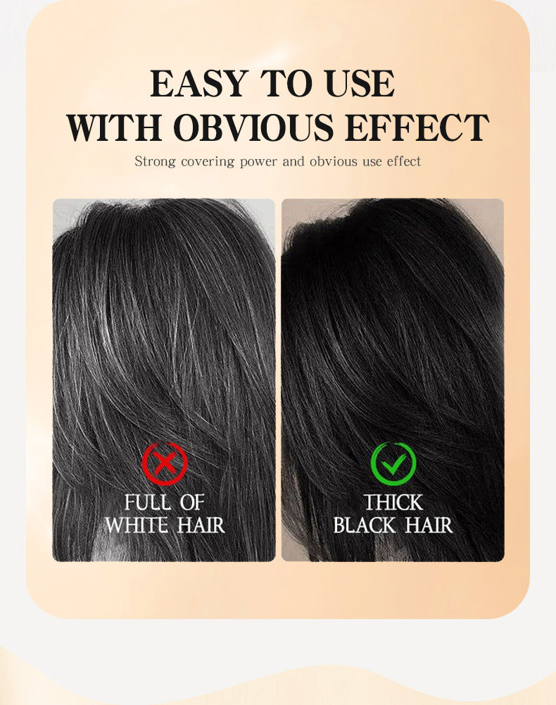 Magic Hair Color Brush Covering White Hair Fast Easy DIY Styling Tool For Home
